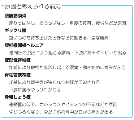 腰筋筋膜炎
座りっぱなし、立ちっぱなし・重度の負荷、疲労などが原因

ギックリ腰
重いものを持ち上げたときなどに起きる、急な腰痛

腰椎間板ヘルニア
椎間板の脱出により起こる腰痛・動き始めに痛みがある

変形性脊椎症
加齢により脊椎が変形し起こる腰痛・動き始めに痛みがある

脊柱管狭窄症
加齢により脊柱管が狭くなり神経が圧迫される
下肢に痛みやしびれがでる

骨粗しょう症
運動量の低下、カルシウムやビタミンの不足などが原因
骨がもろくなり、骨がつぶれ背中が曲がり痛みが出る

腰は身体を支える大事な部分です。痛みのために歩行は勿論、椅子に座るという動作や横になることも辛くなってしまう場合があります。